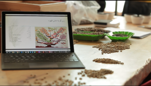 آزمون ارزیابی دان سبز